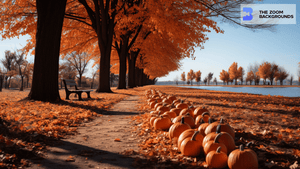 Fall Park with Pumpkins Zoom Background