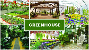 Greenhouse & Garden Zoom Backgrounds Set (15 images)