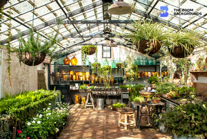 Interior Garden Greenhouse Zoom Background