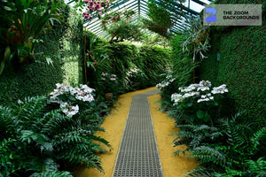 The Royal Greenhouses Of Laeken Zoom Background