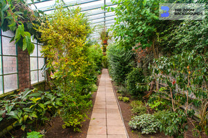 Villa Taranto's Greenhouse Zoom Background