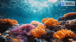 Orange Coral Reef Zoom Background