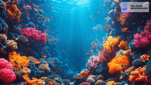 Vibrant Coral Reef Zoom Background