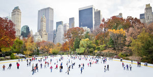 Central Park Ice Skating in Winter Zoom Background