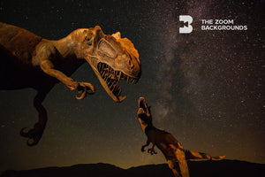 Dinosaurs at Nigh Zoom Backgrounds