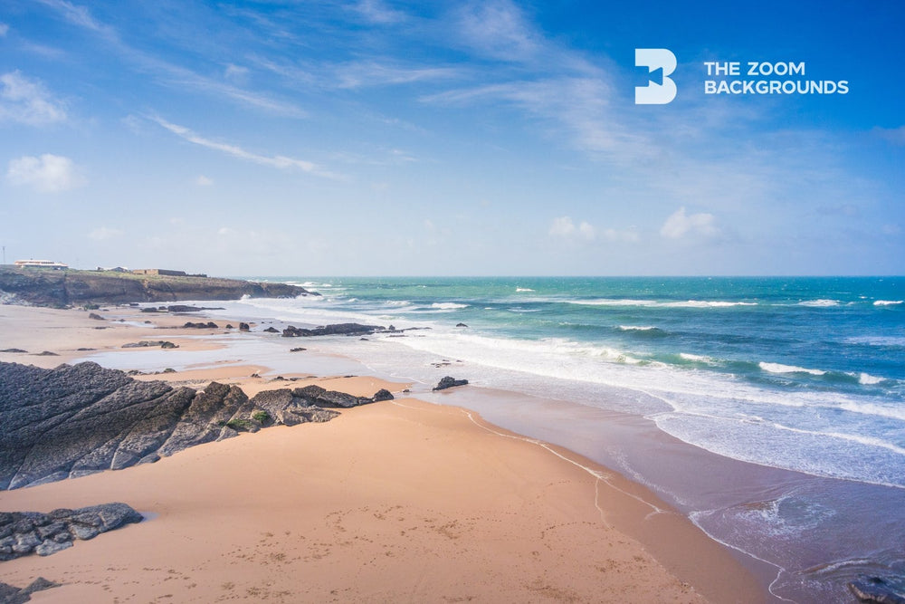 Wild Beach Zoom Backgrounds