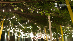 Garlands Of Light Bulbs Hanging On Terrace Zoom Backgrounds