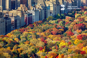 Autumn Colors in Central Park New York City Zoom Backgrounds