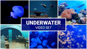 The Deep Ocean World Zoom Backgrounds Video