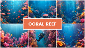 Coral Reef Zoom Backgrounds Bundle (15 images) + FREE e-book (Copy)